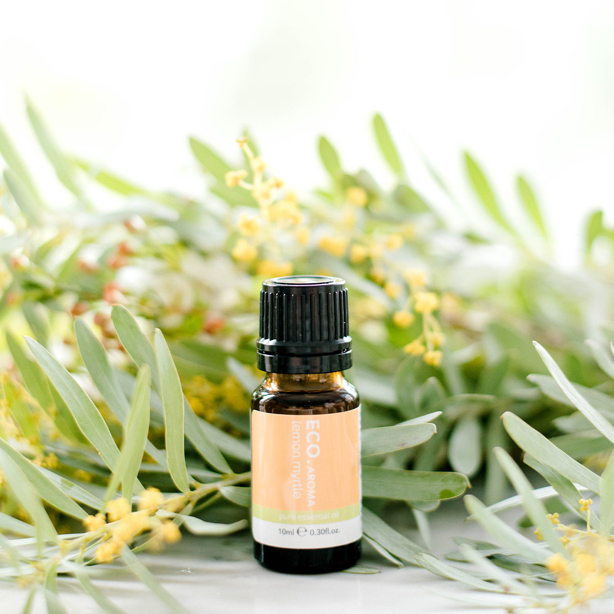 ECO. Modern Essentials Lemon Myrtle Pure Essential Oil 10ml